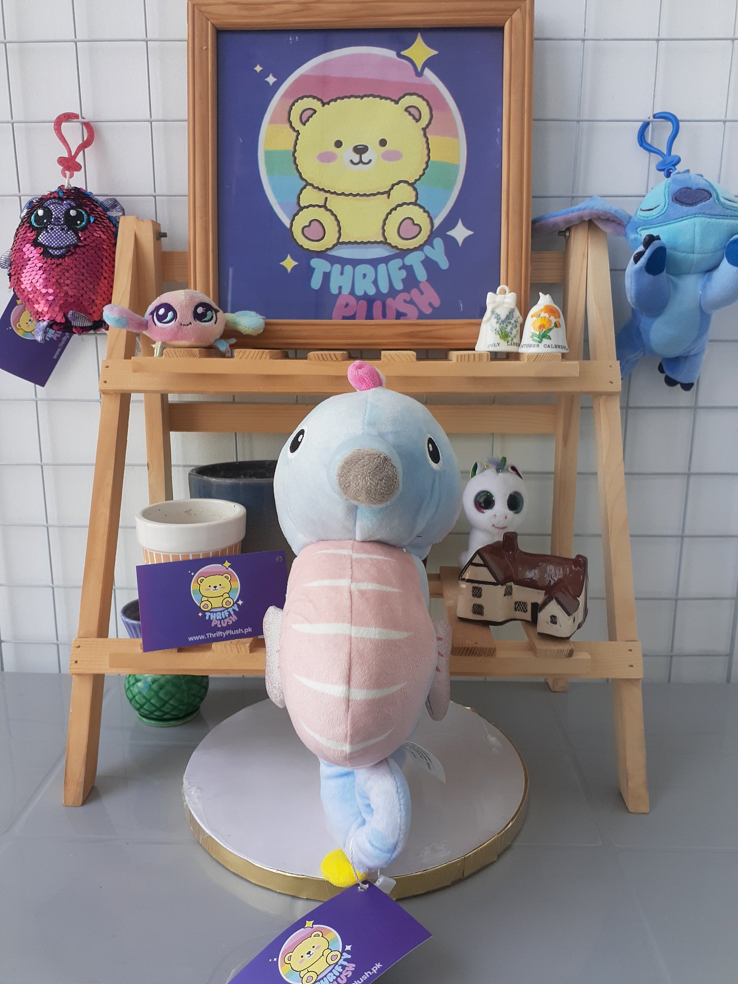 Plush toy, Specifically A Seahorse Plushie.