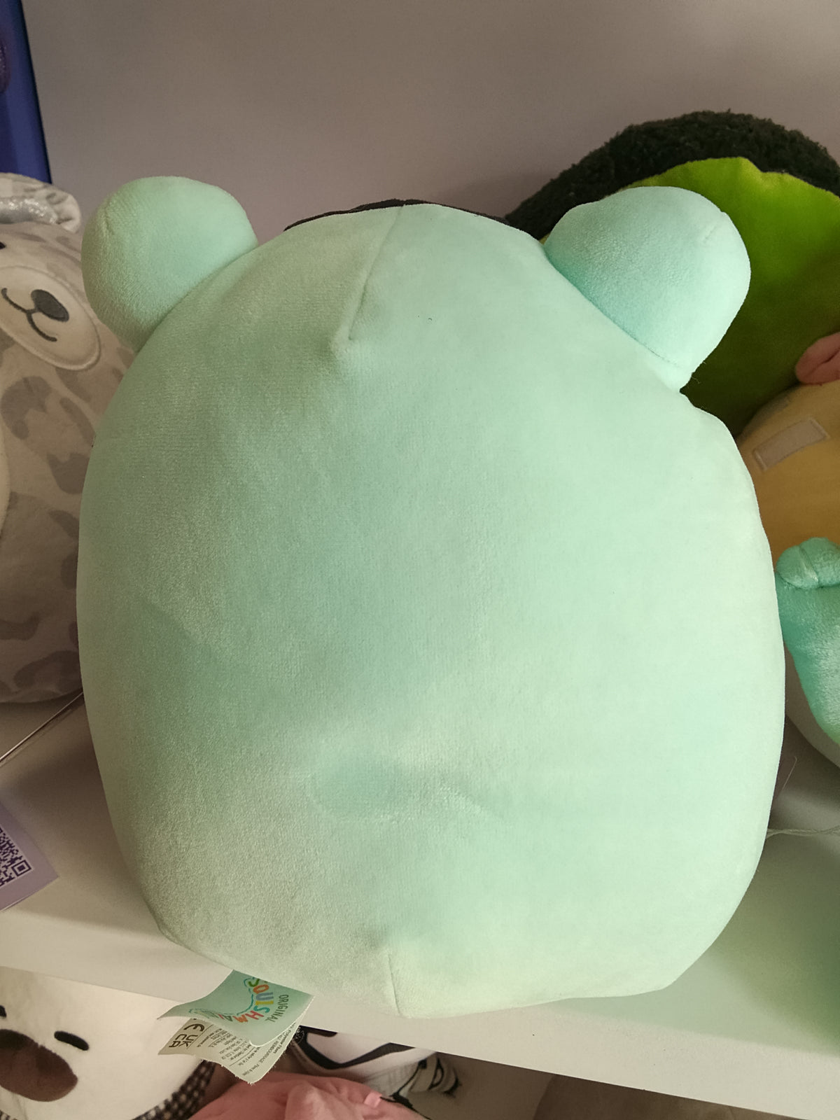 Squishmallows Dear the Poison Dart Frog plush toy speckled mint green and black design.