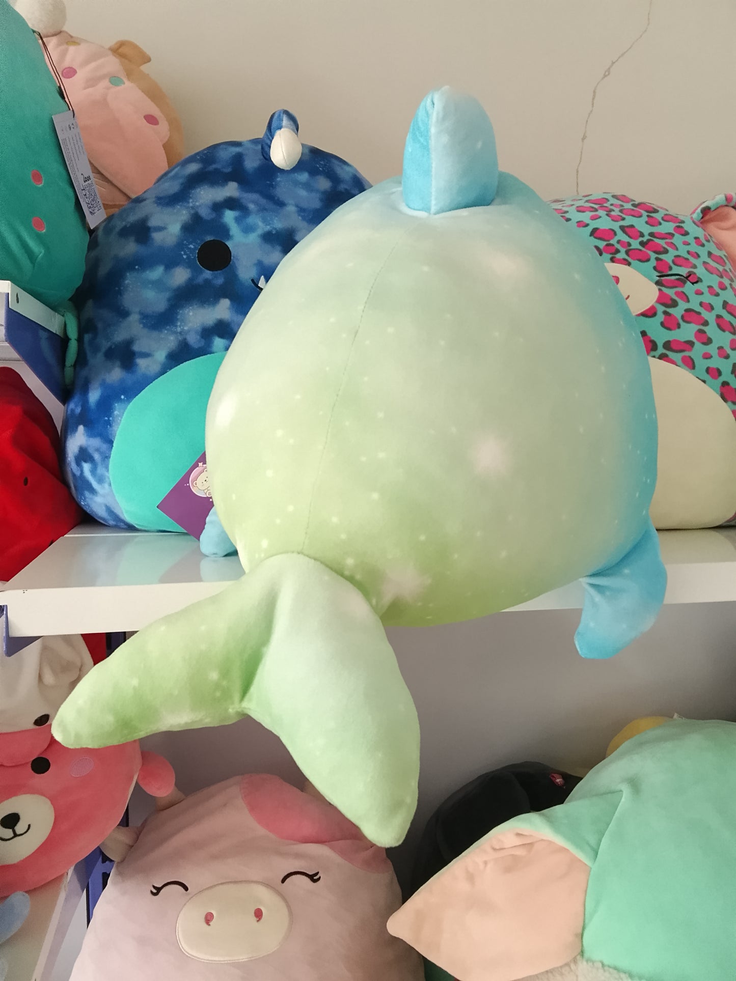 Squishmallows plush toy featuring the character Santos the Shark.