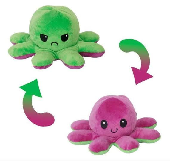 Reversible Plush Toys – Mood Changing Soft Toys in Pakistan