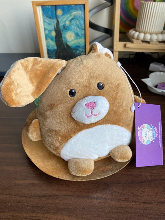 Squeeze With Love Plush – Ultra Soft Bunny/Bear Stuffed Toy | ThriftyPlush.pk