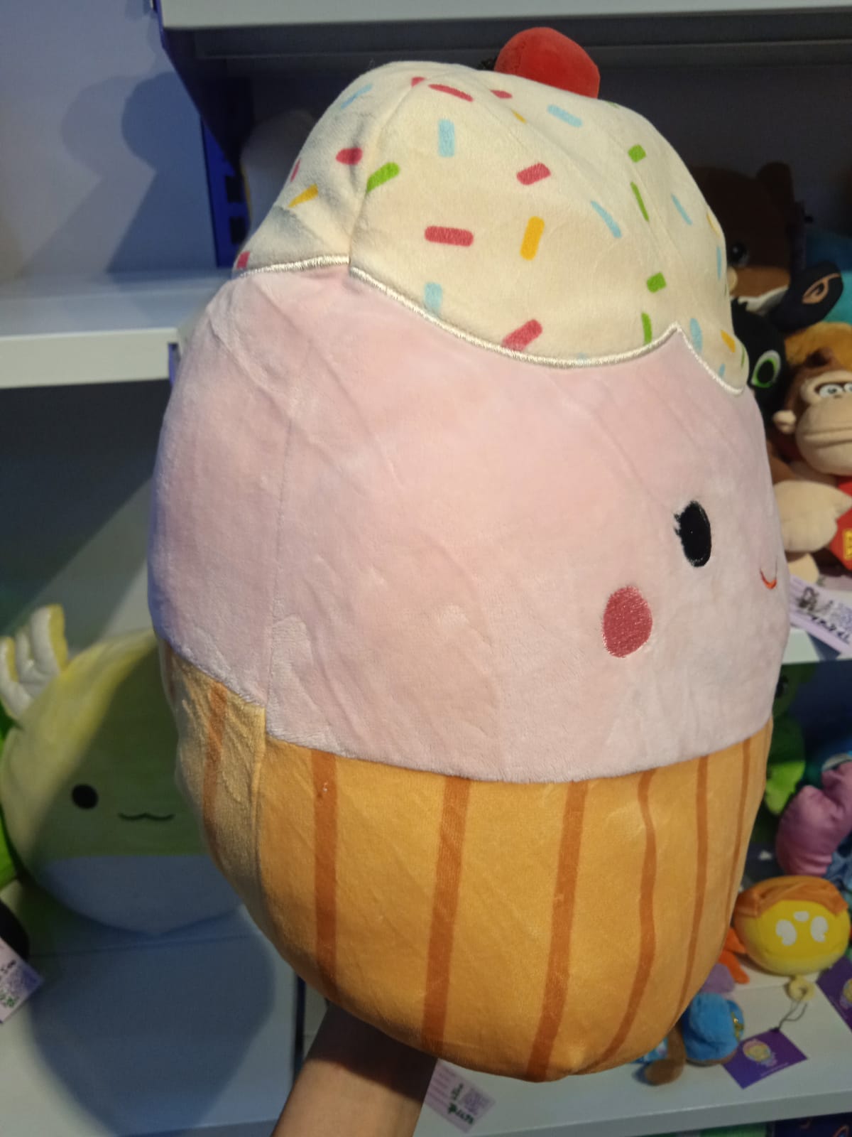 Clara the Cupcake Plush Toy