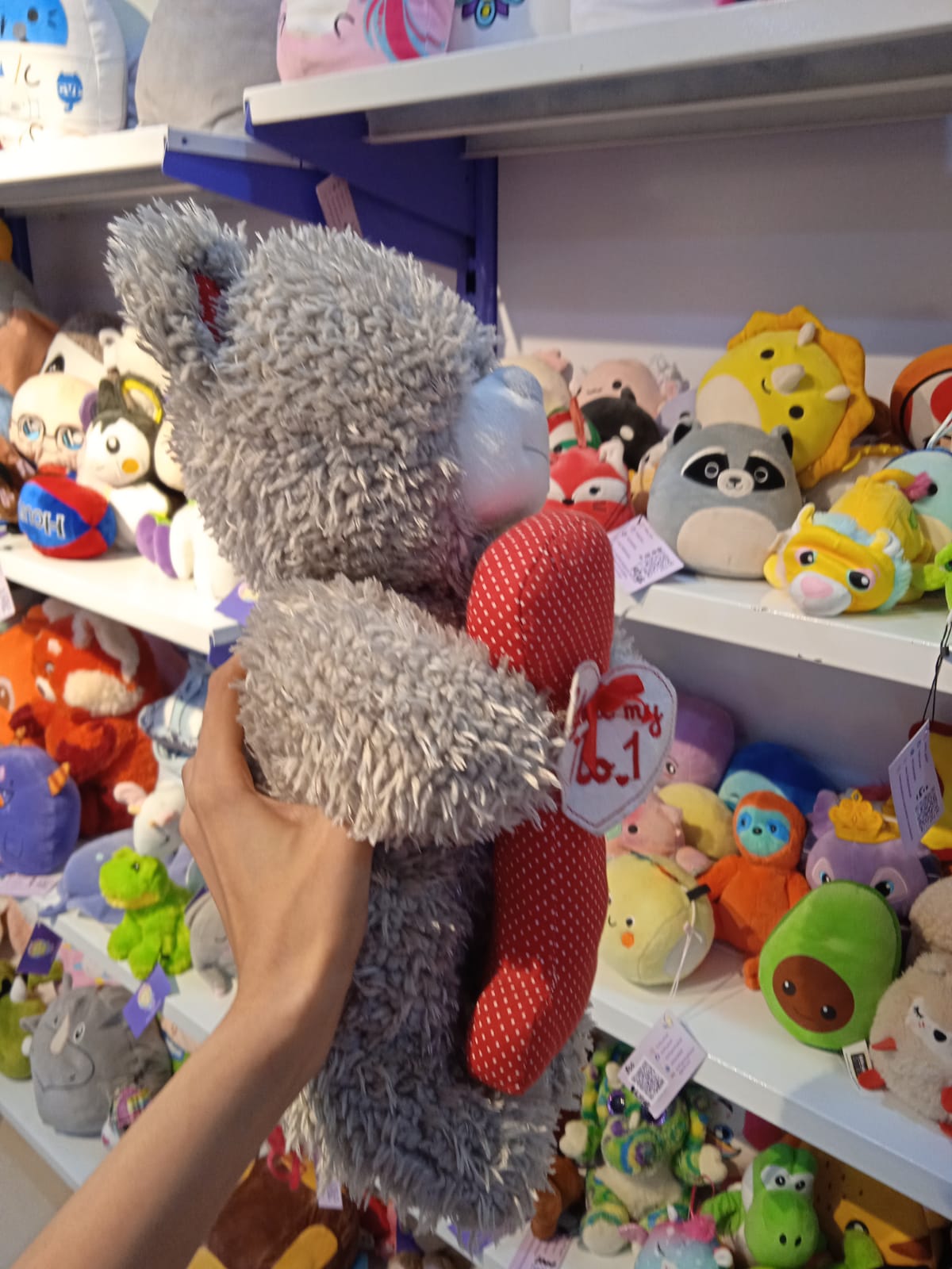 Bear Plush Toy