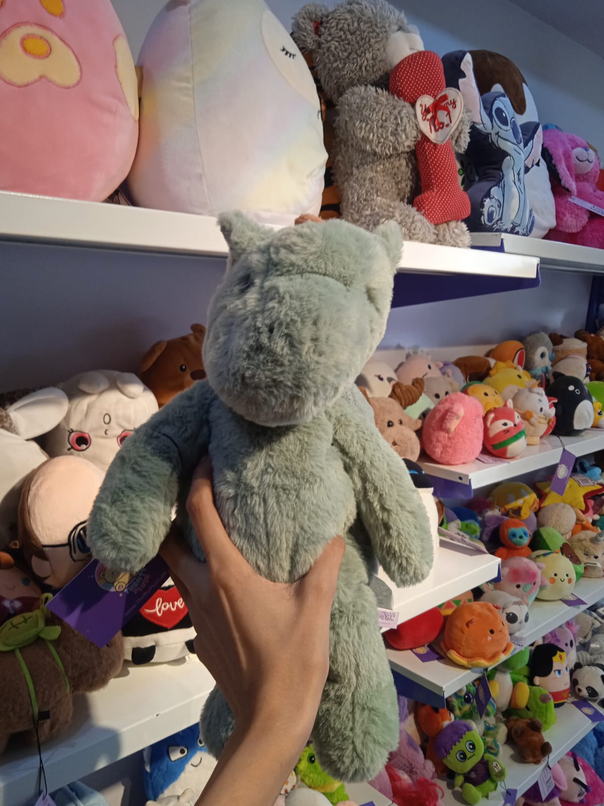 Jellycat Bashful Dragon Plush Toy