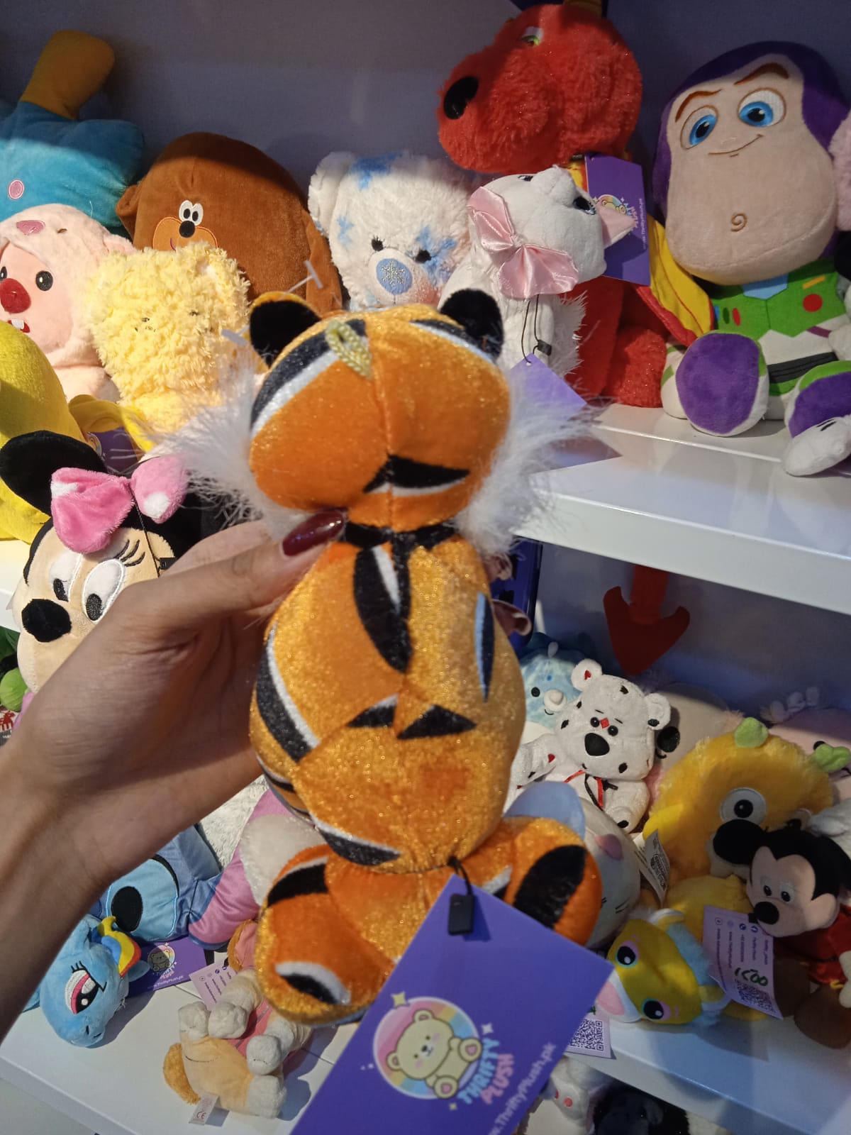 Circo / Sweet Sprouts Tiger Plush Toy