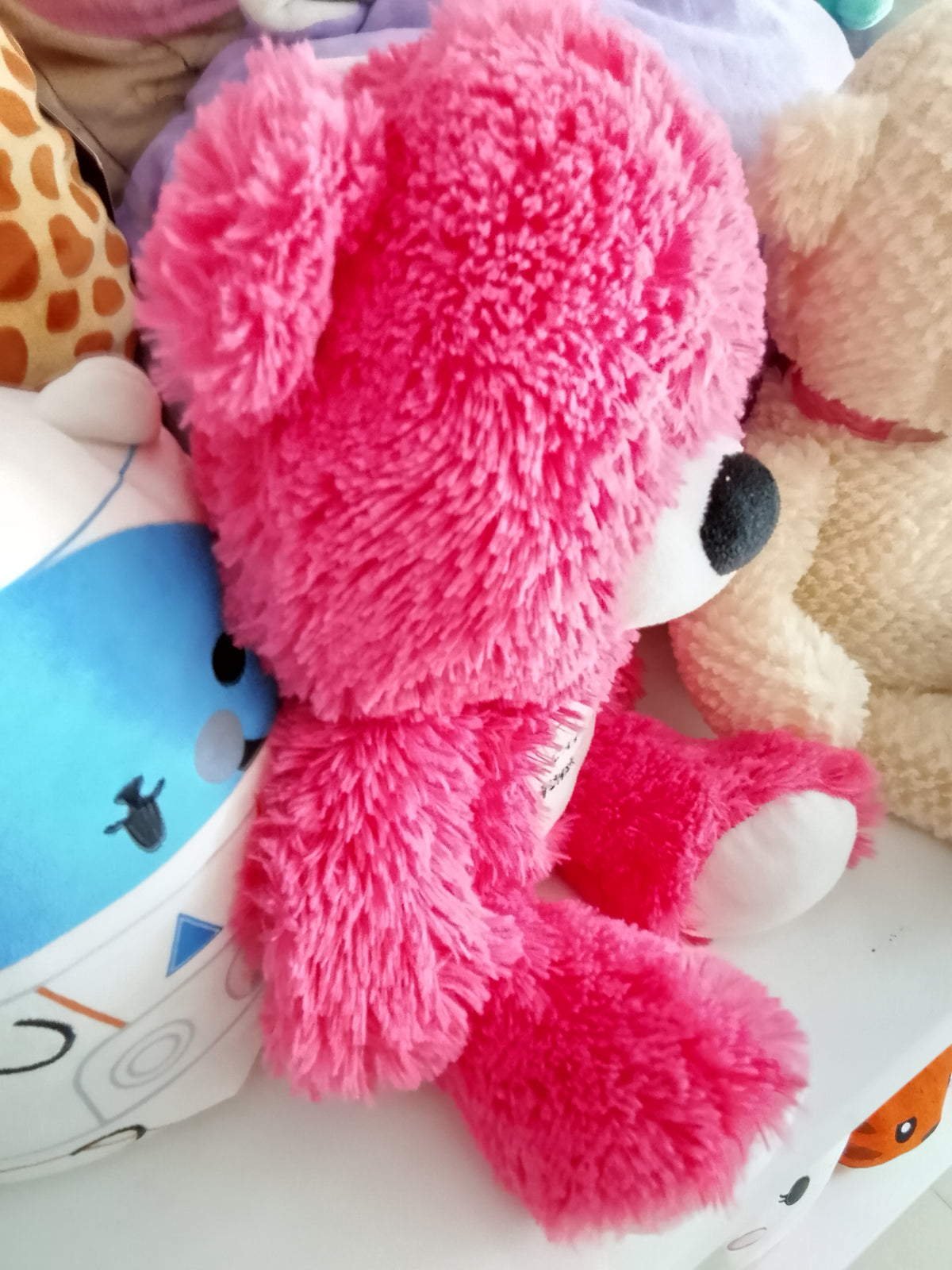 Teddy bear souvenir from Canada's Wonderland amusement park plush toy.