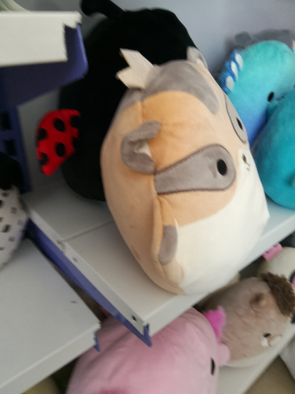 Squishmallows Ziv the Sugar Glider plush toy.