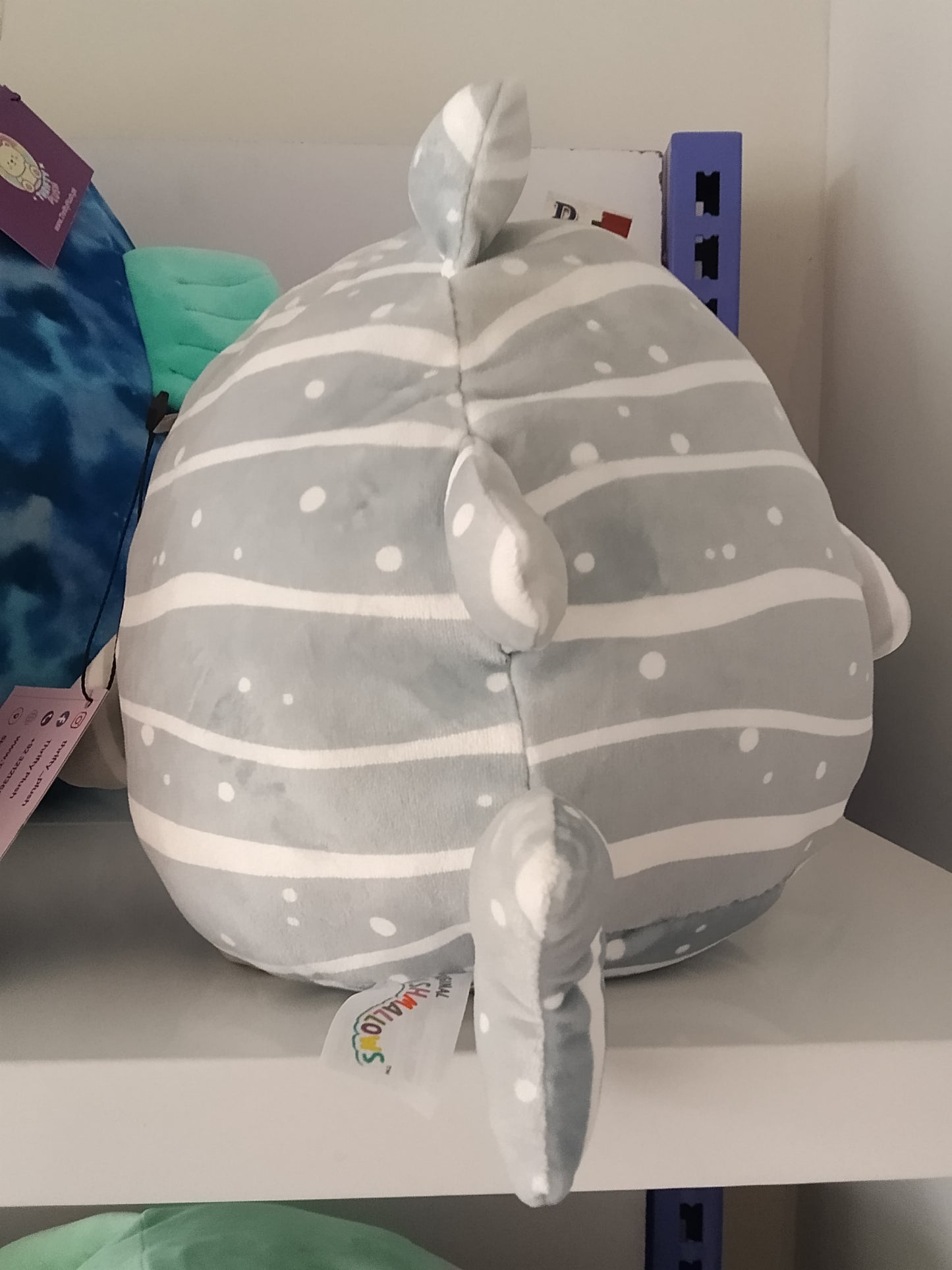 Squishmallows Sachie the Gray Striped Whale Shark plush toy.