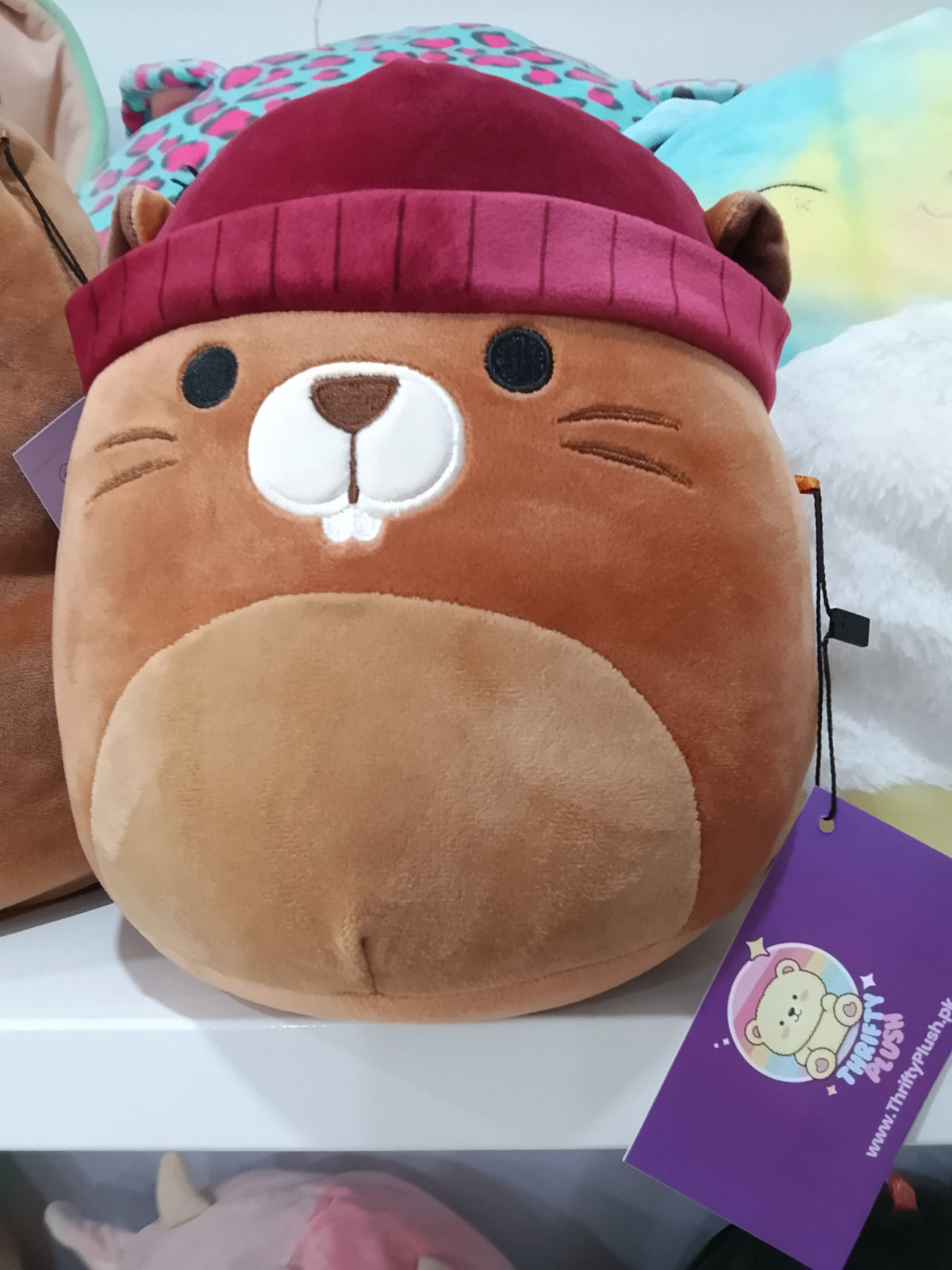 Squishmallows Chip the Beaver plush toy.
