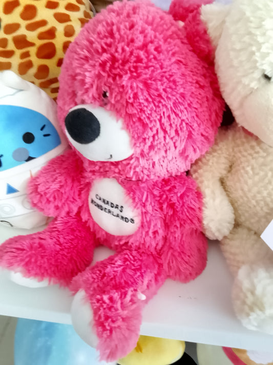 Teddy bear souvenir from Canada's Wonderland amusement park plush toy.