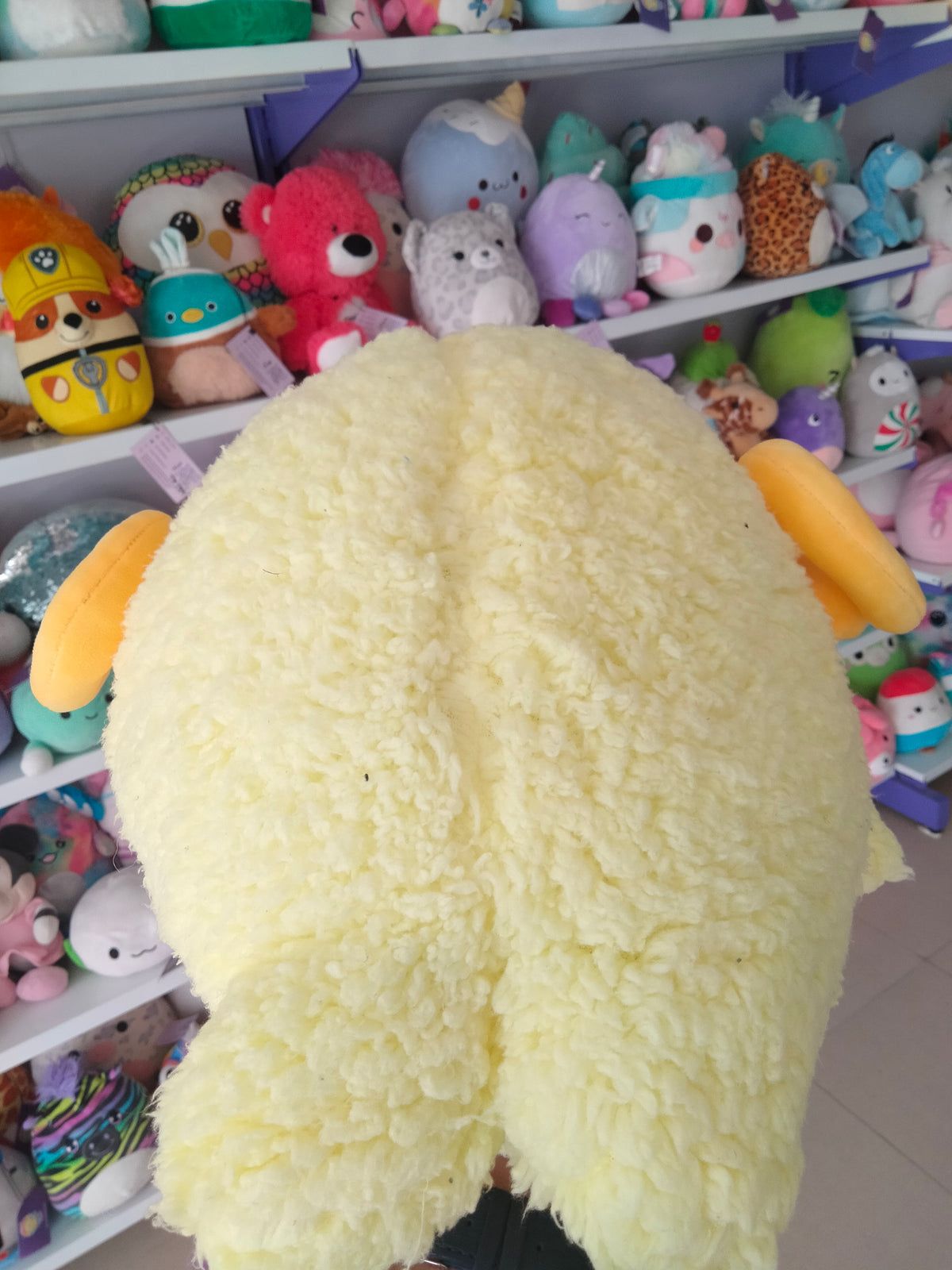 San-X Mamegoma plush toy