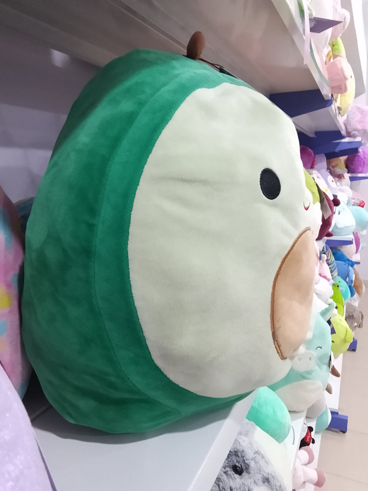 Squishmallows Austin the Avocado plush toy.