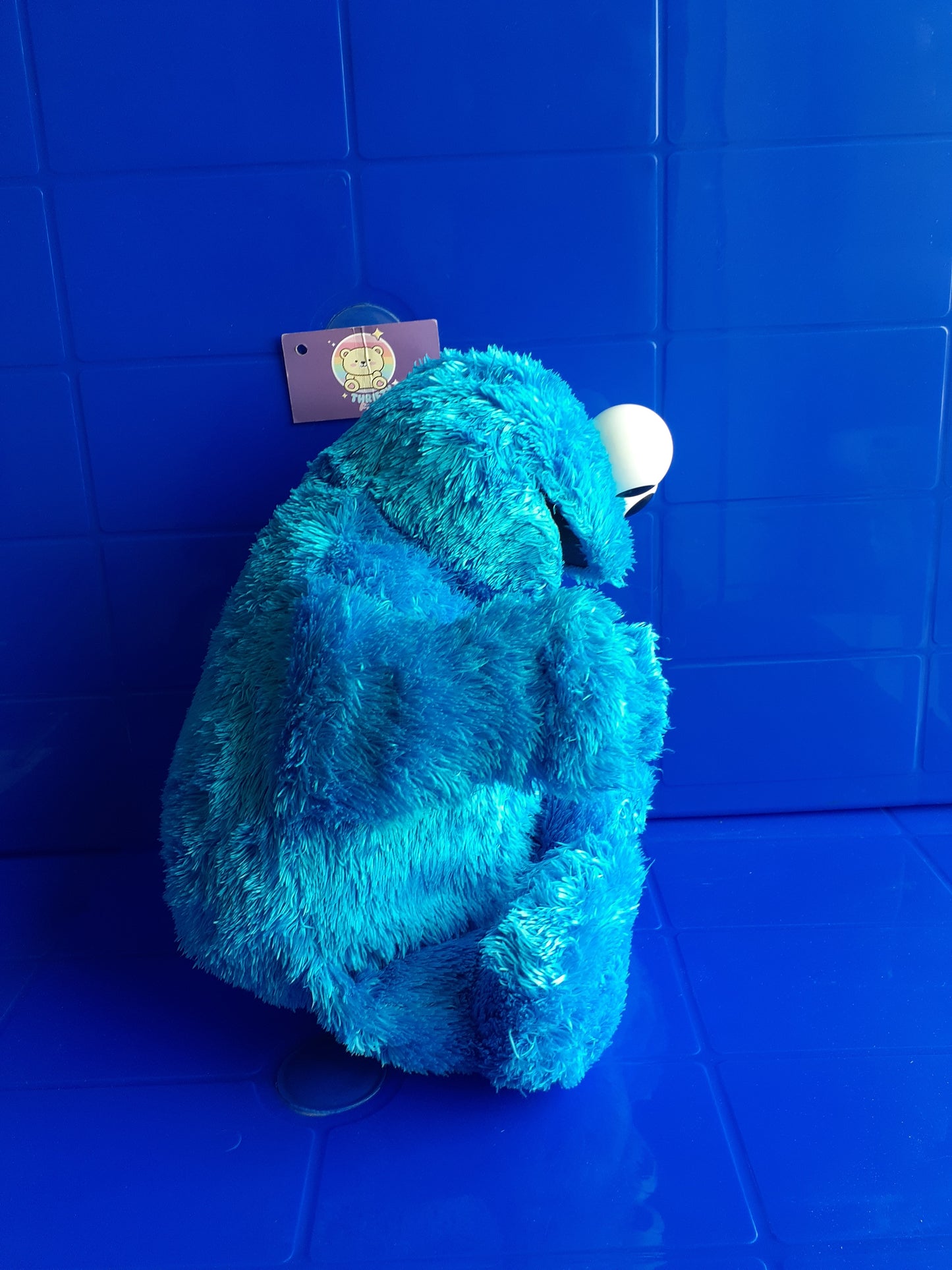 Cookie Monster Plushie Toy From Sesame Street