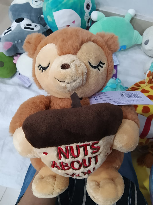 Kellytoy or Walgreens brand "Nuts About You" plush squirrel toy, often released for Valentine's Day