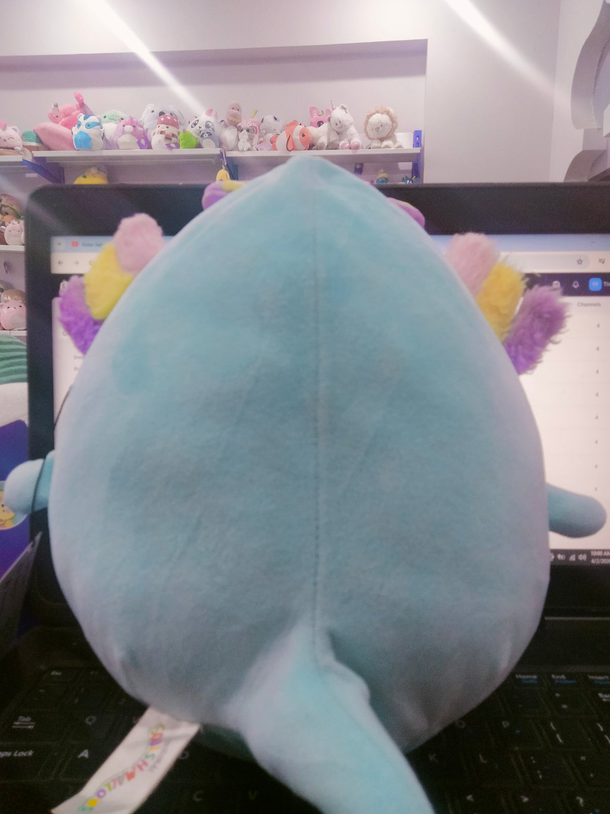 Squishmallows Irina the Teal Axolotl plush toy.