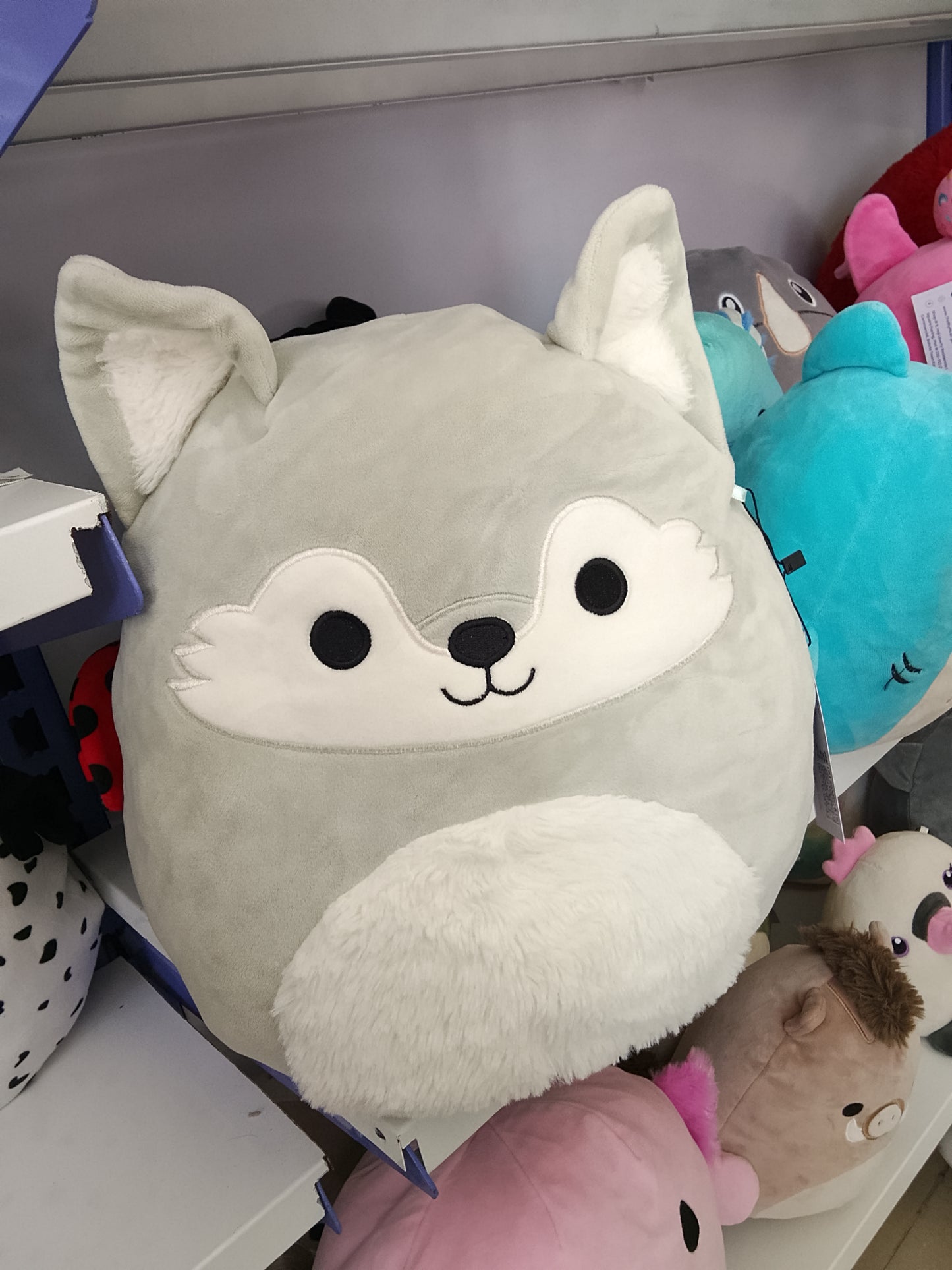 Squishmallow Willy the Wolf or Oakley the Wolf Plush toy.