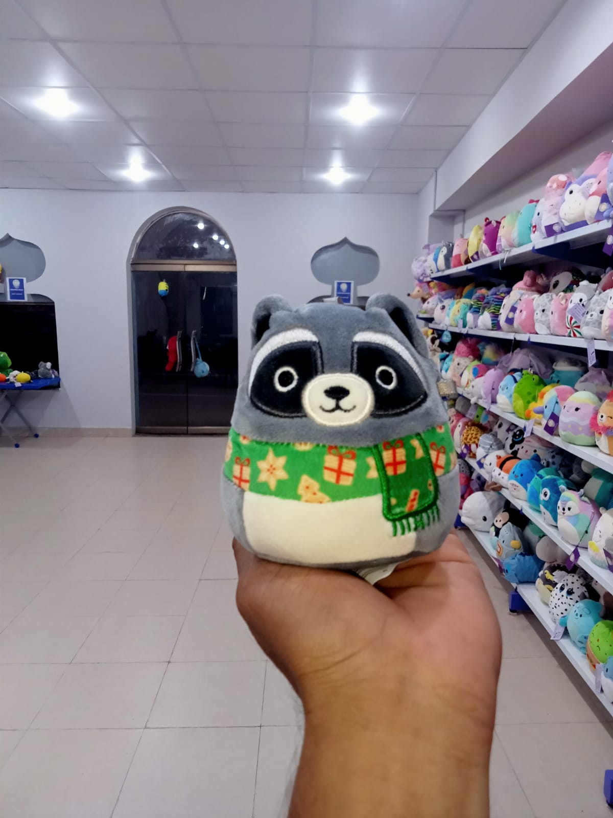 Rocky the Raccoon, a popular character from the Squishmallows Holiday collection.