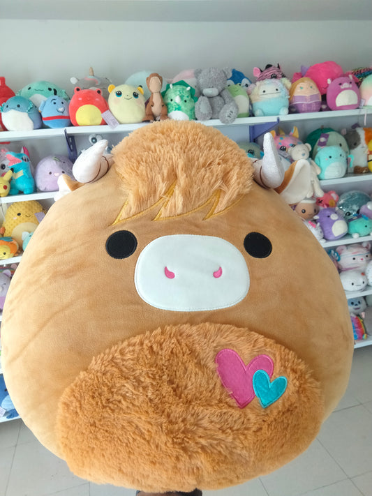 Wilfred the Highland Cow.