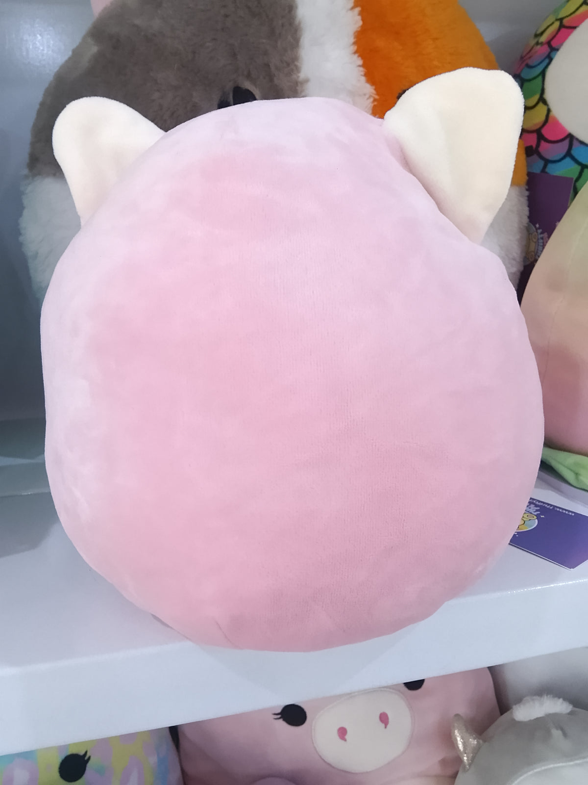 Squishmallows Flip-A-Mallow Dohna the Pink Panda