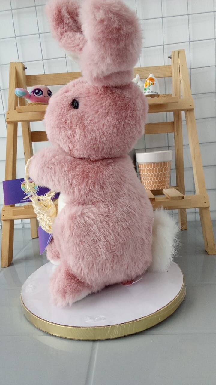 Pink Bunny Plush Toy.