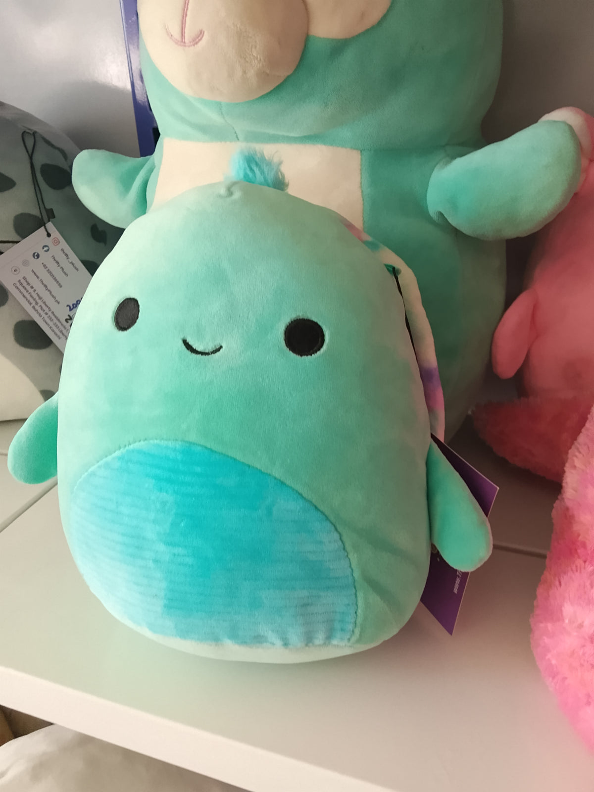 Squishmallows Cascade the teal turtle with a tie-dye shell Plush toy.