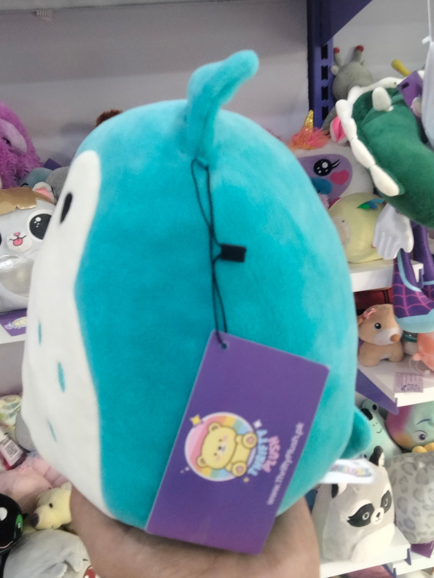 Kellytoy Squishmallows Winston the Teal Owl plush toy.