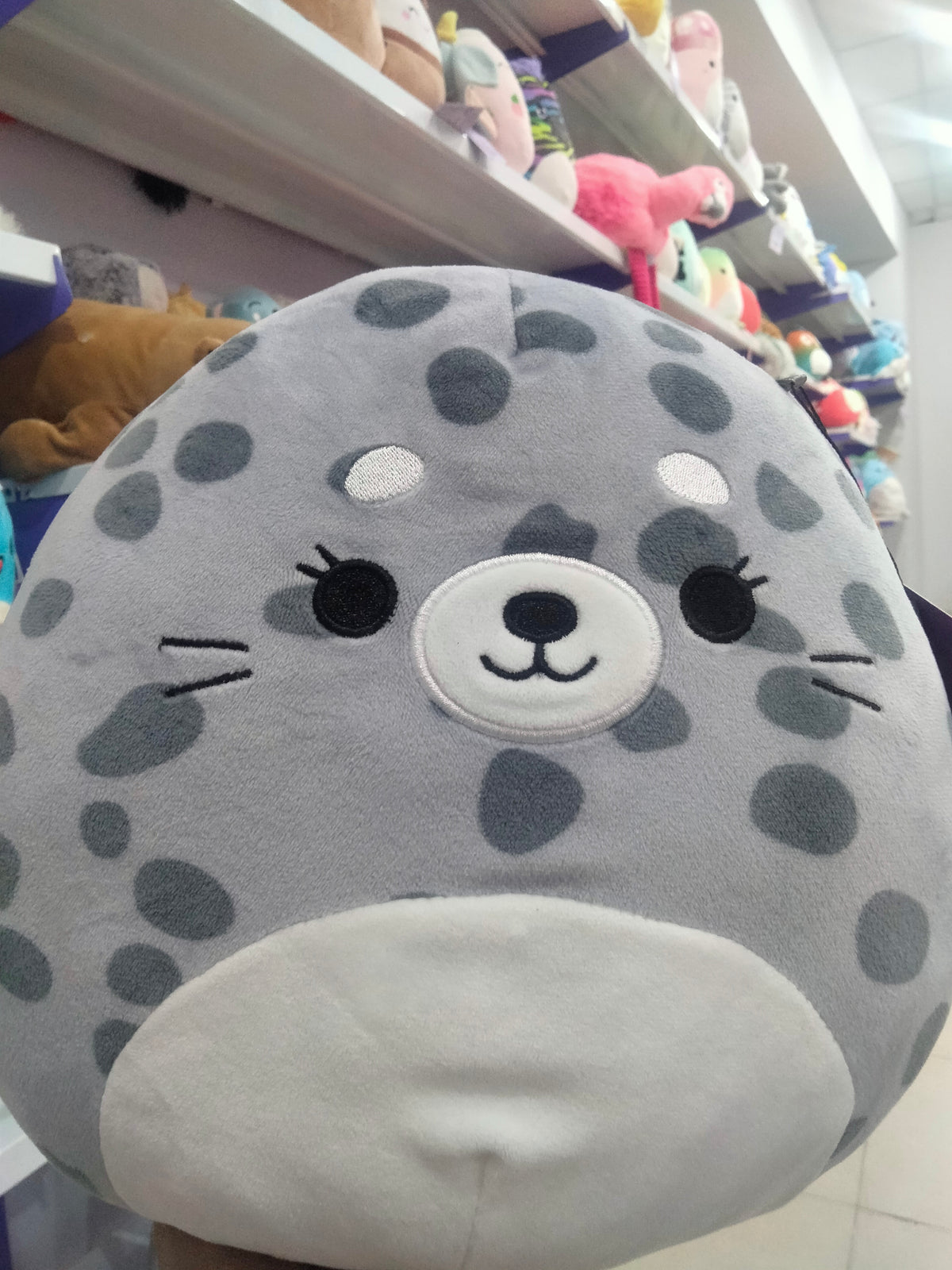 Squishmallowsplush stuffed animal Odile the Seal.