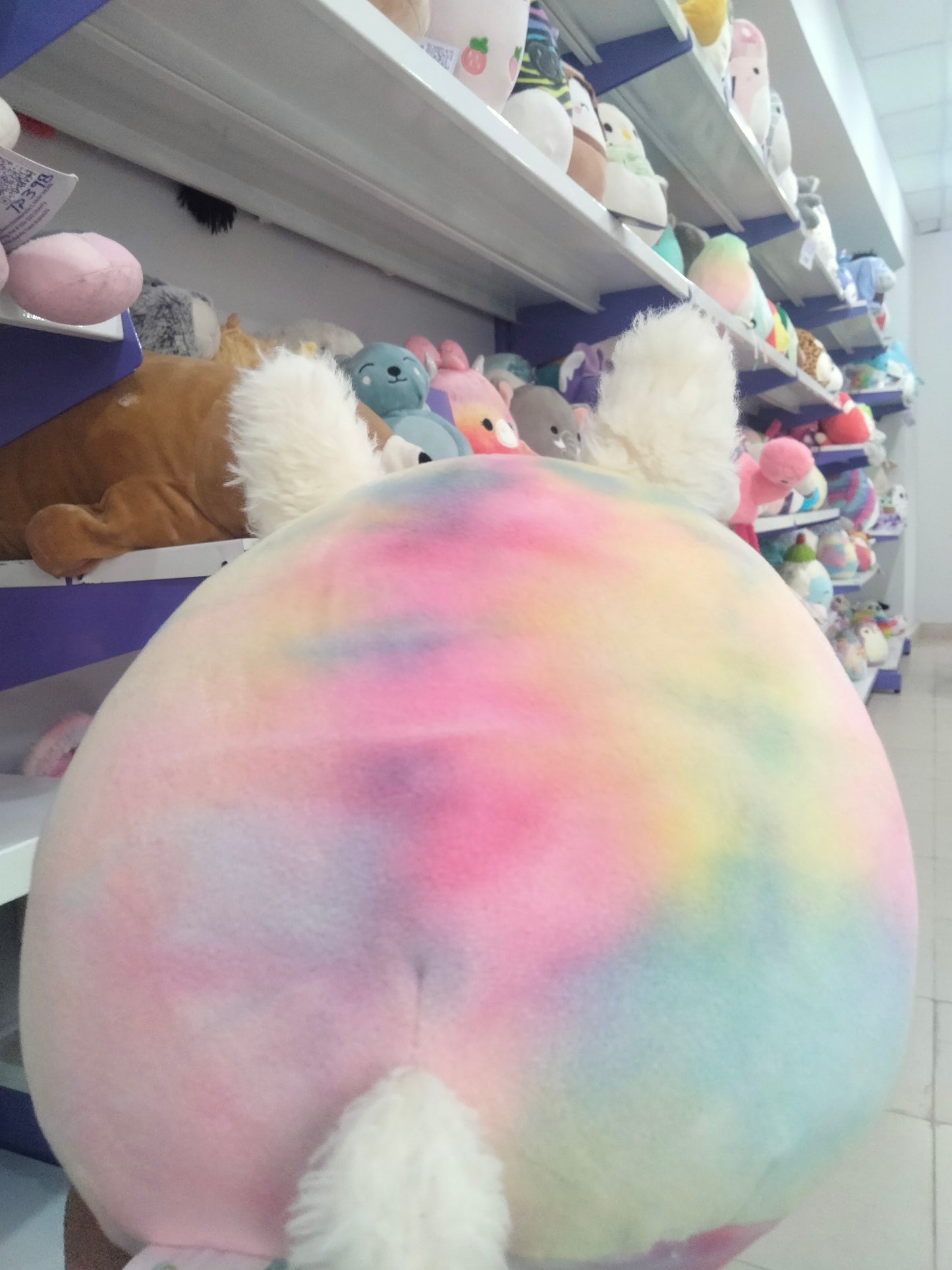 Squishmallows The Sea Bunny