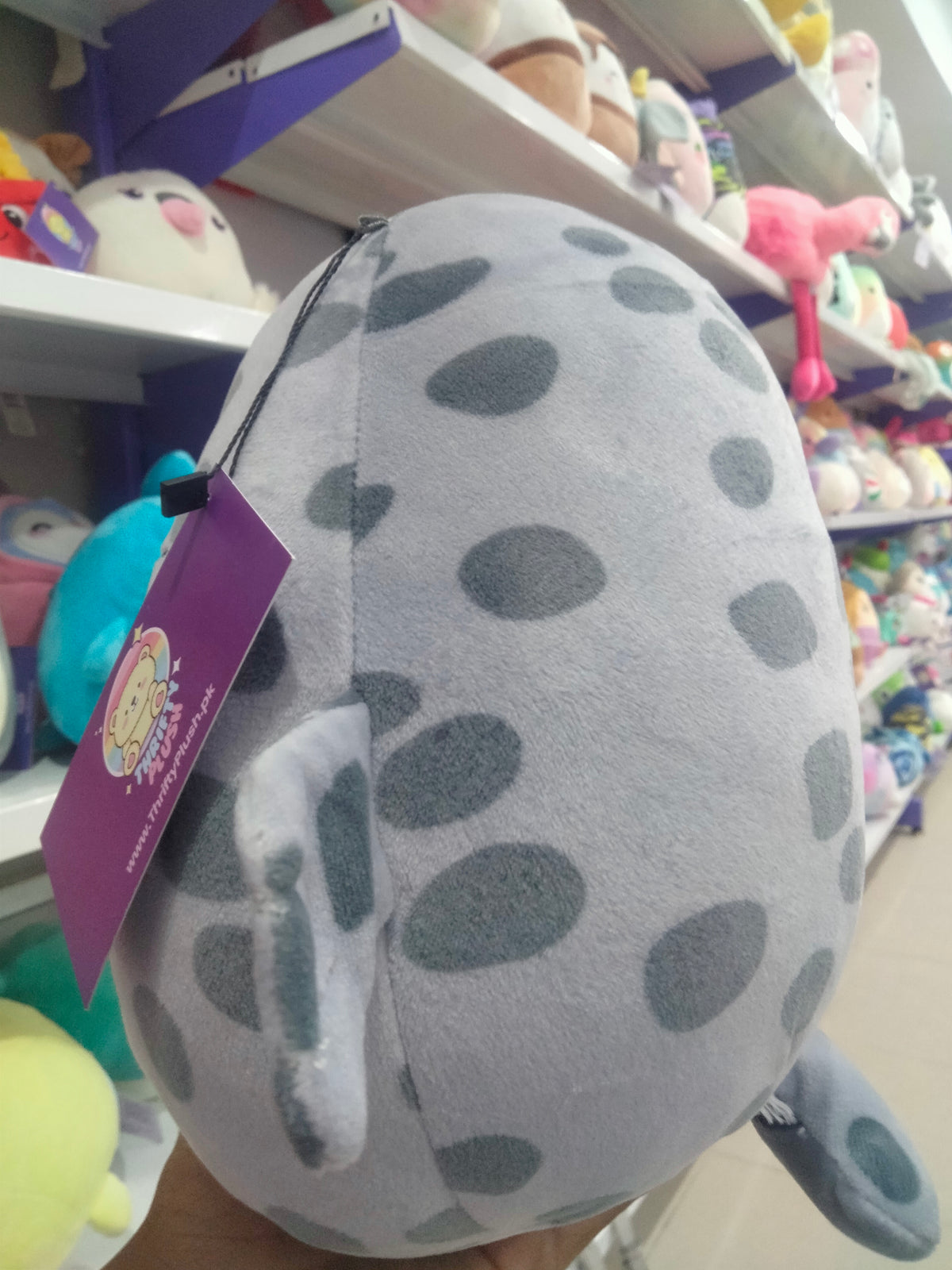 Squishmallowsplush stuffed animal Odile the Seal.