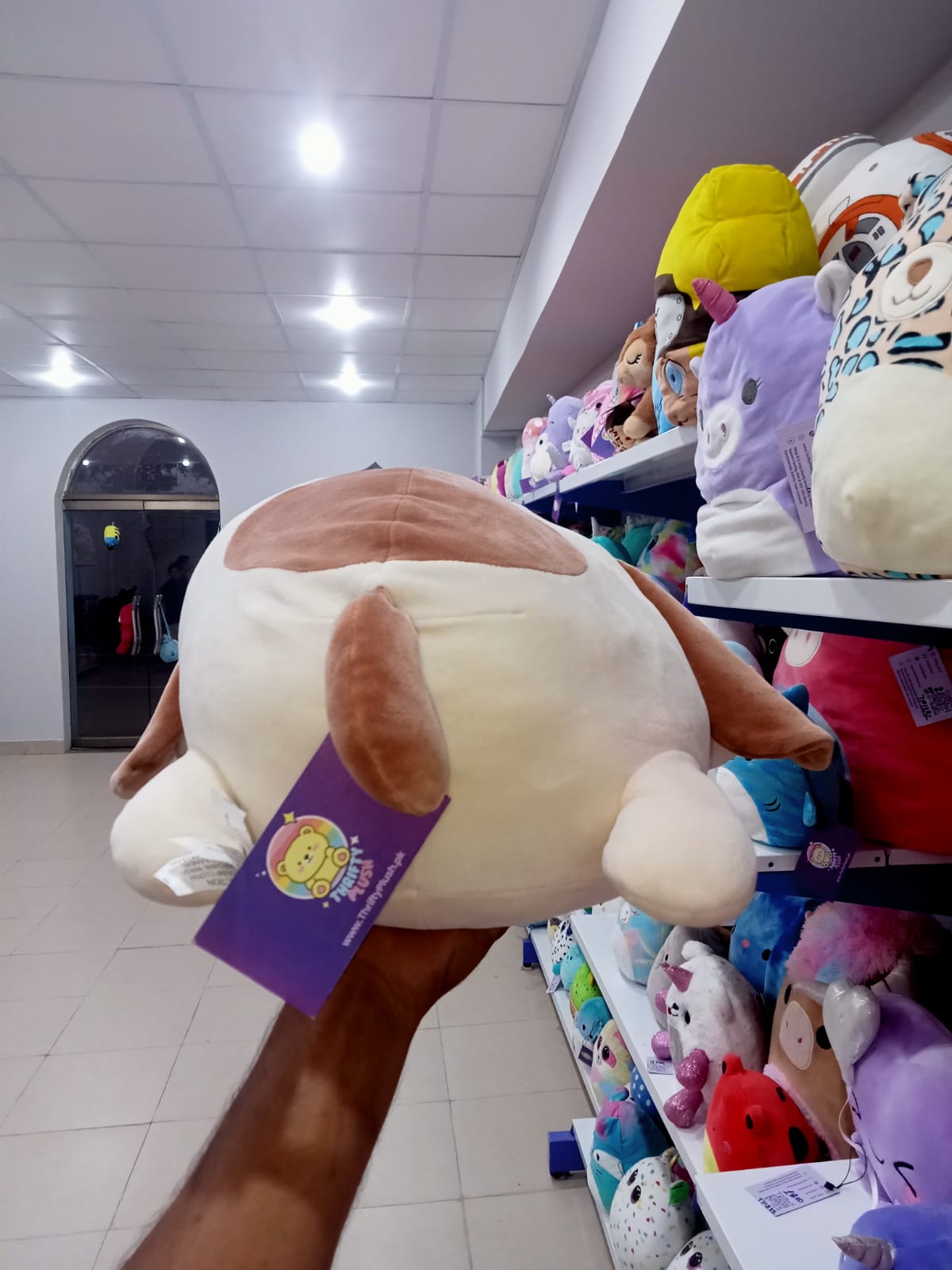 Squishmallows brand,Tyree the Beagle from the Kellytoy line.