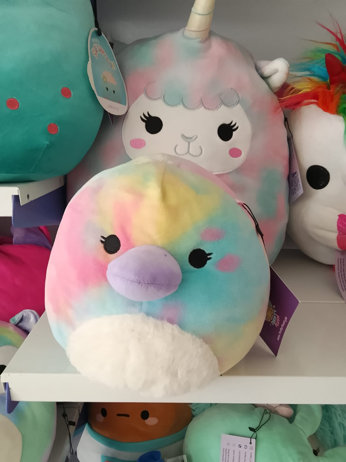 Brindall The Platypus, a Squishmallow Plushie