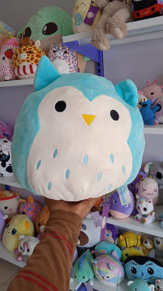 Winston the Owl, a character from the Squishmallows brand