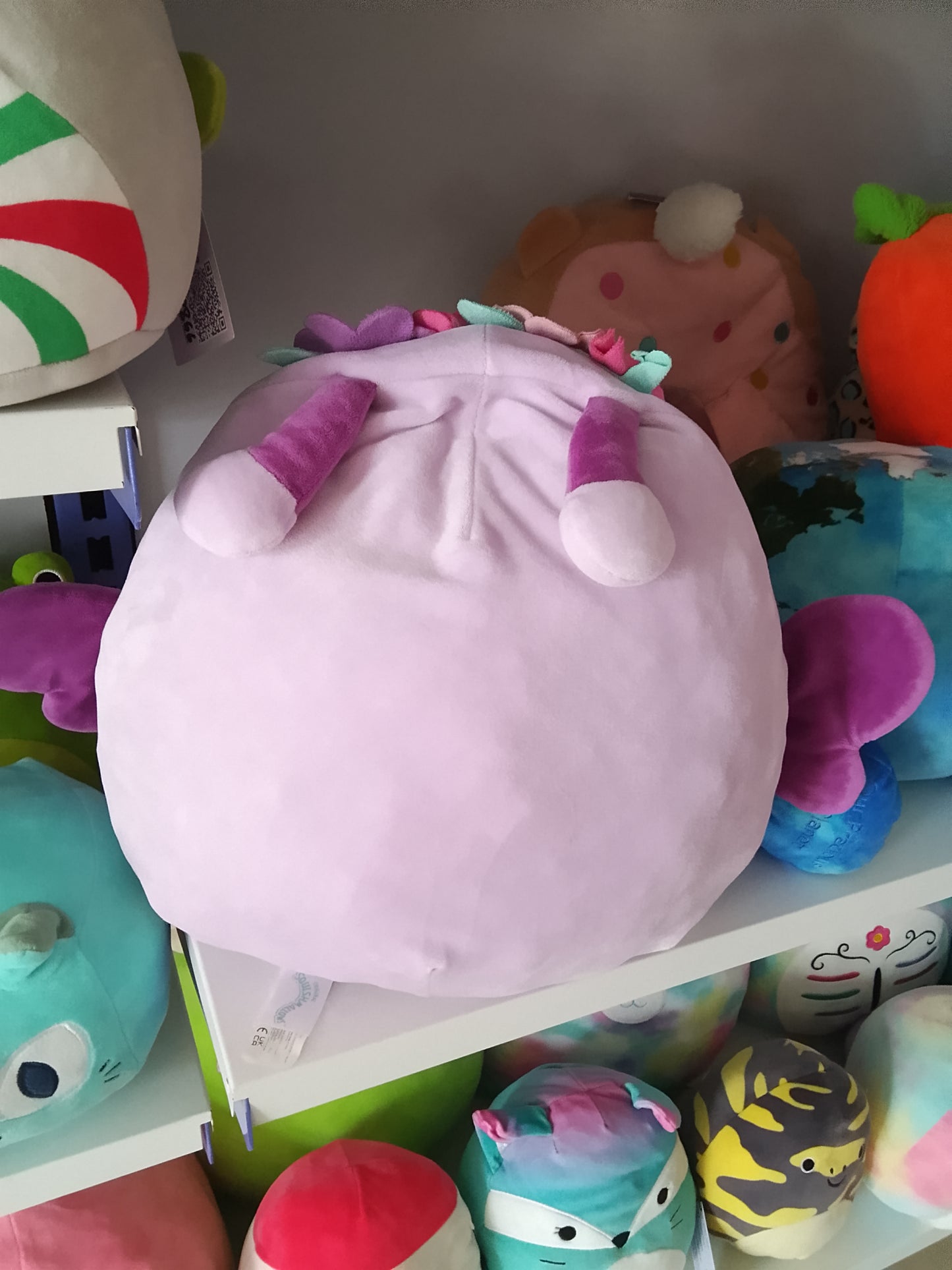 Squishmallows Brenda the Butterfly purple color, pink belly, and decorative flower crown plush toy.