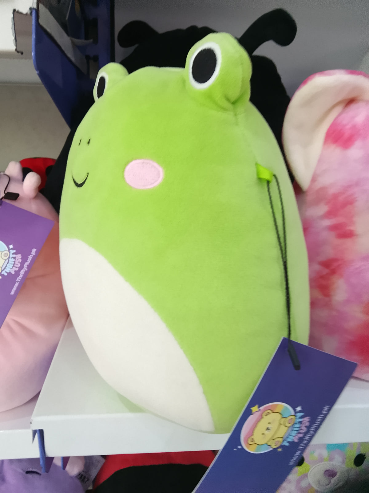 Squishmallows Wendy the Frog plush toy.