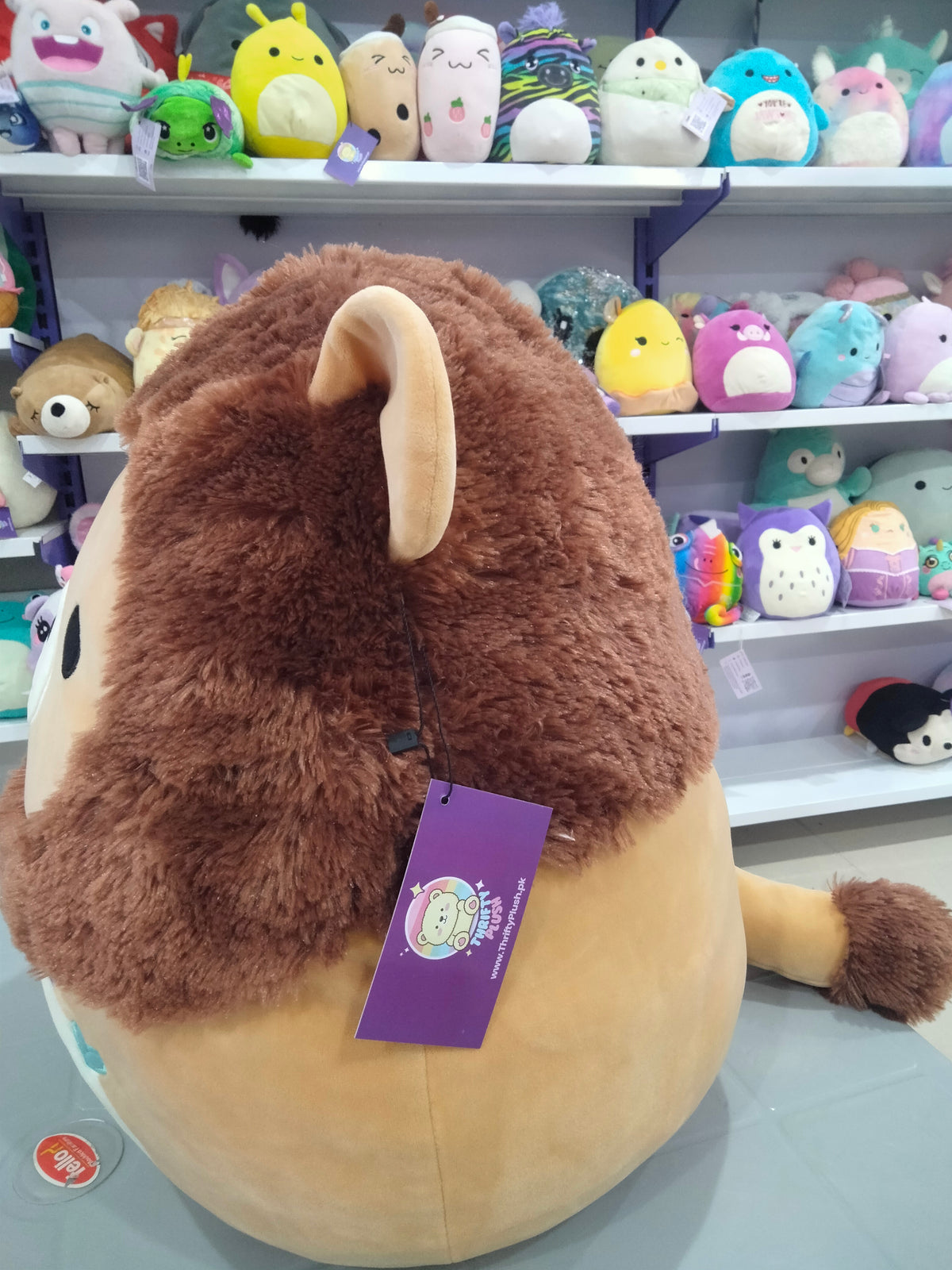 Squishmallow plush toy, Francis The Lion.
