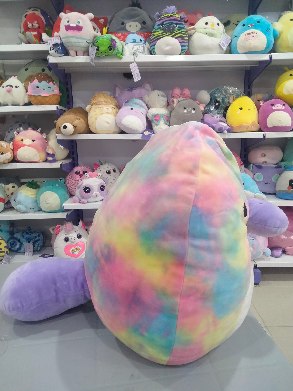 Squishmallows plush toy, specifically Brindall the Platypus.