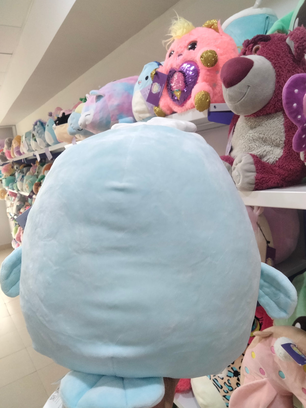 Squishmallows 8-inch plush toy of Abel the Manatee