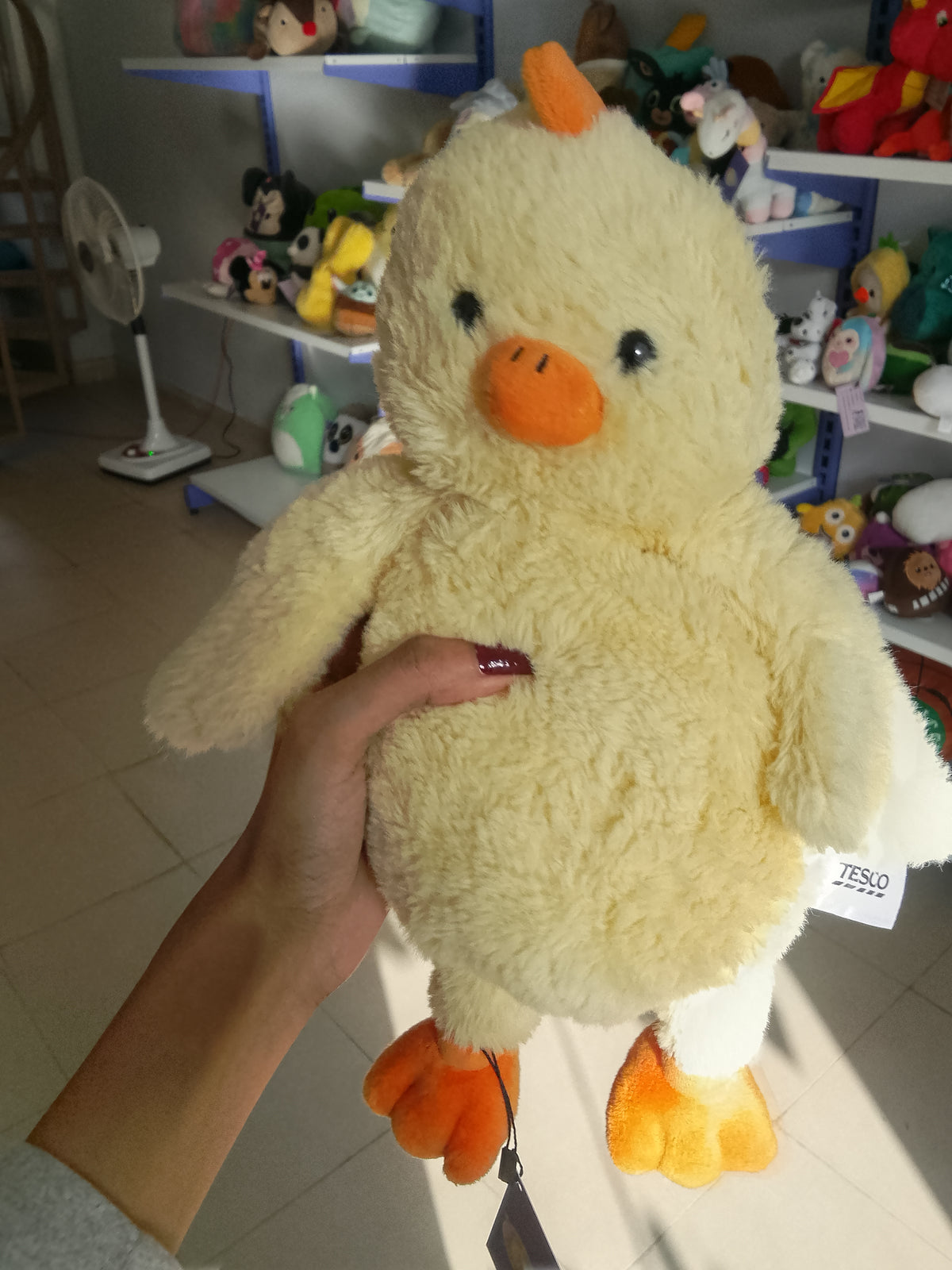 Charlie the Chick Plush Toy