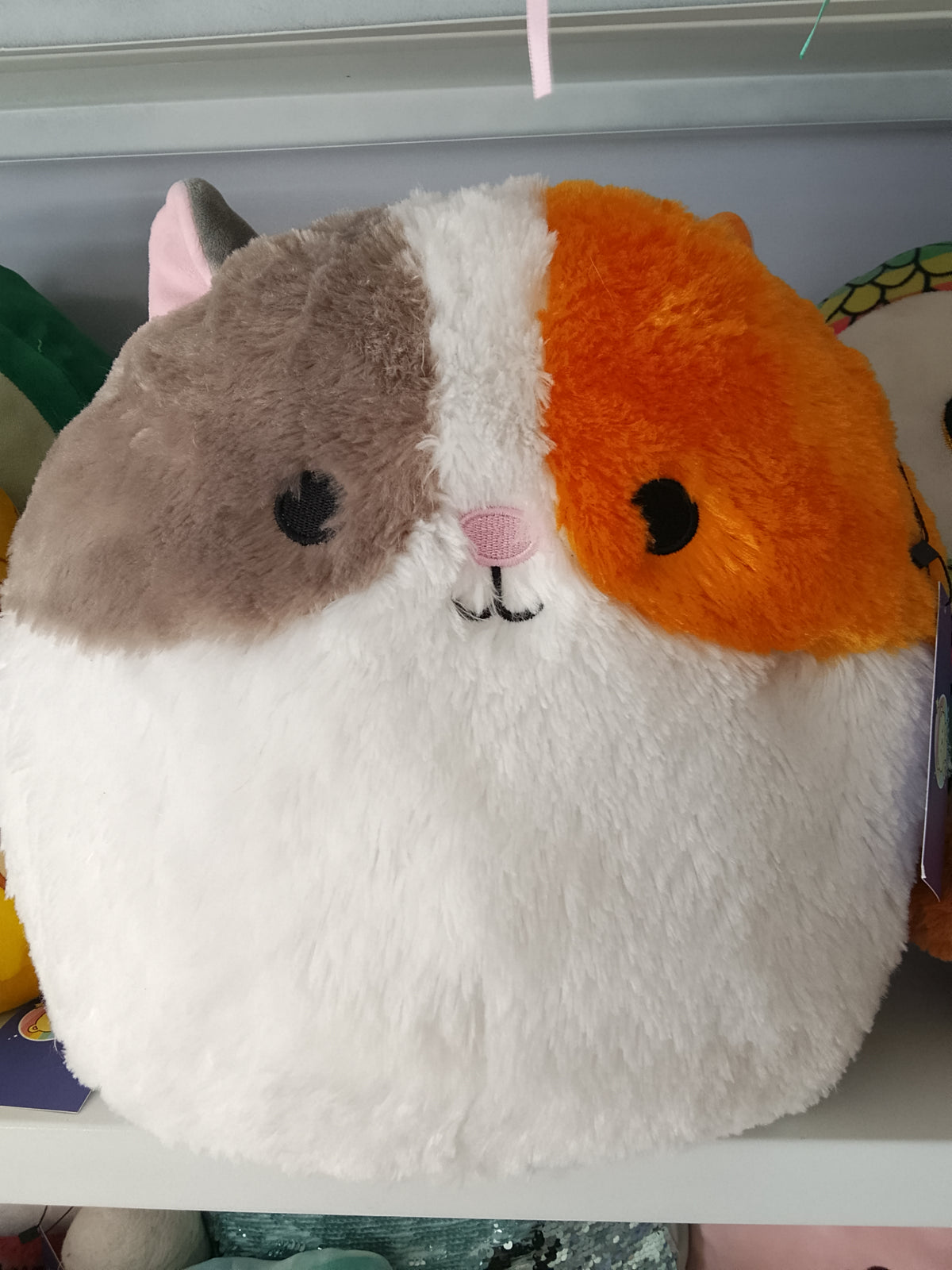 Squishmallows Fuzzamallows Everett the Guinea Pig plush toy, fuzzy texture and tri-color design.
