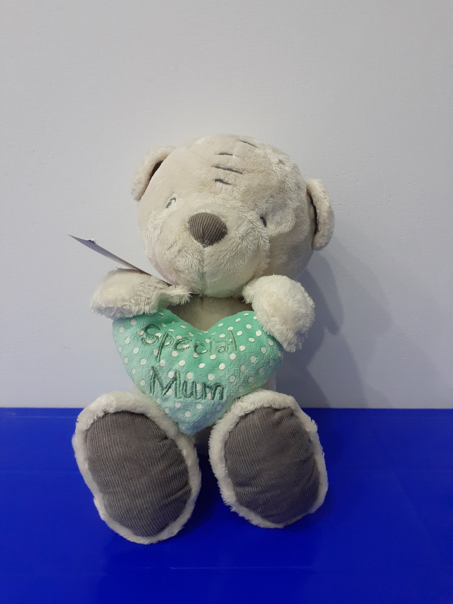 Teddy Bear Holding A Heart-Shaped Pillow