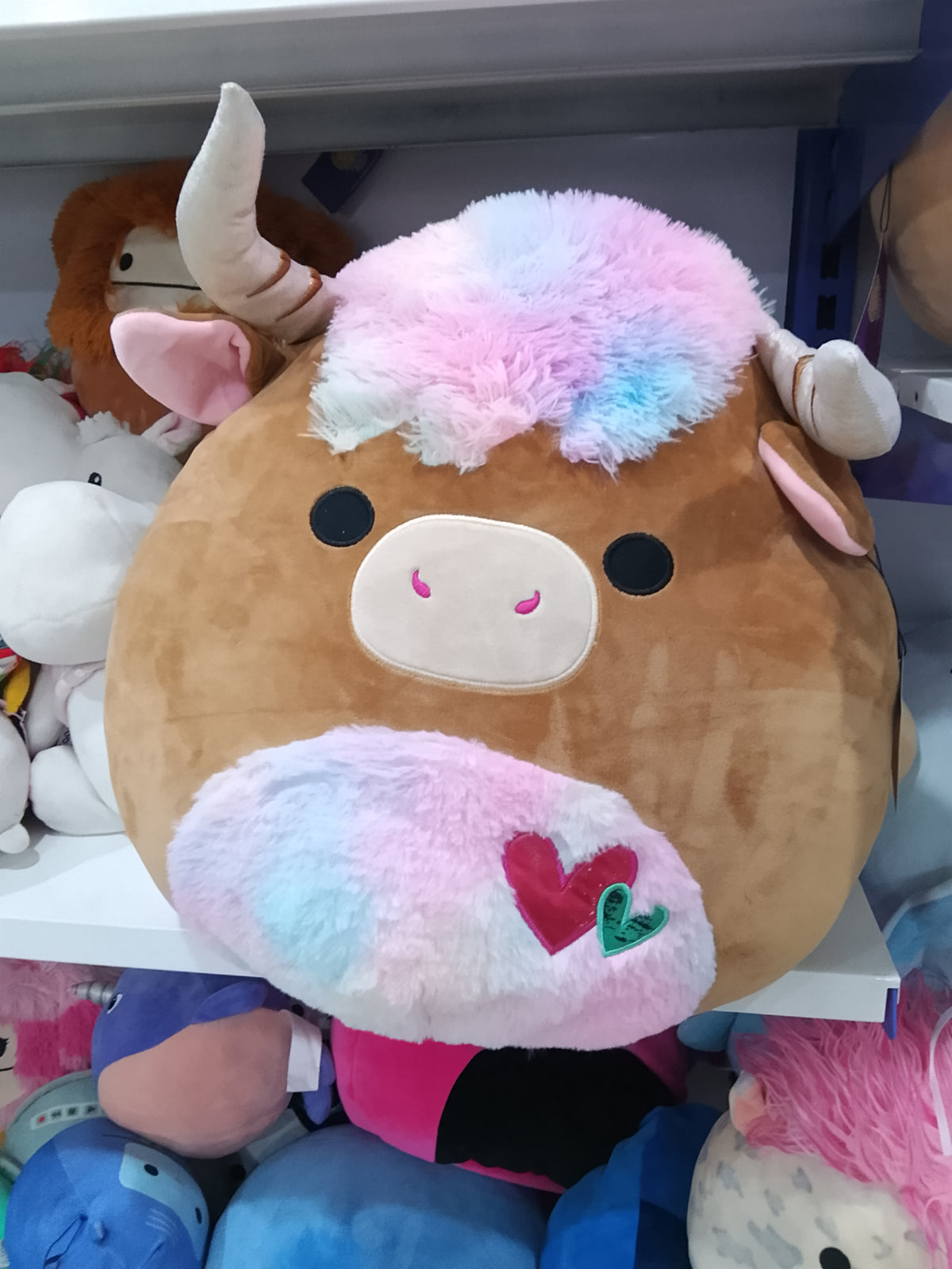 Squishmallows Candela the Highland Cow plush toy.