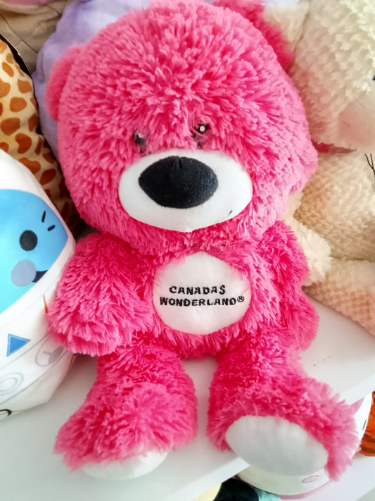 Teddy bear souvenir from Canada's Wonderland amusement park plush toy.
