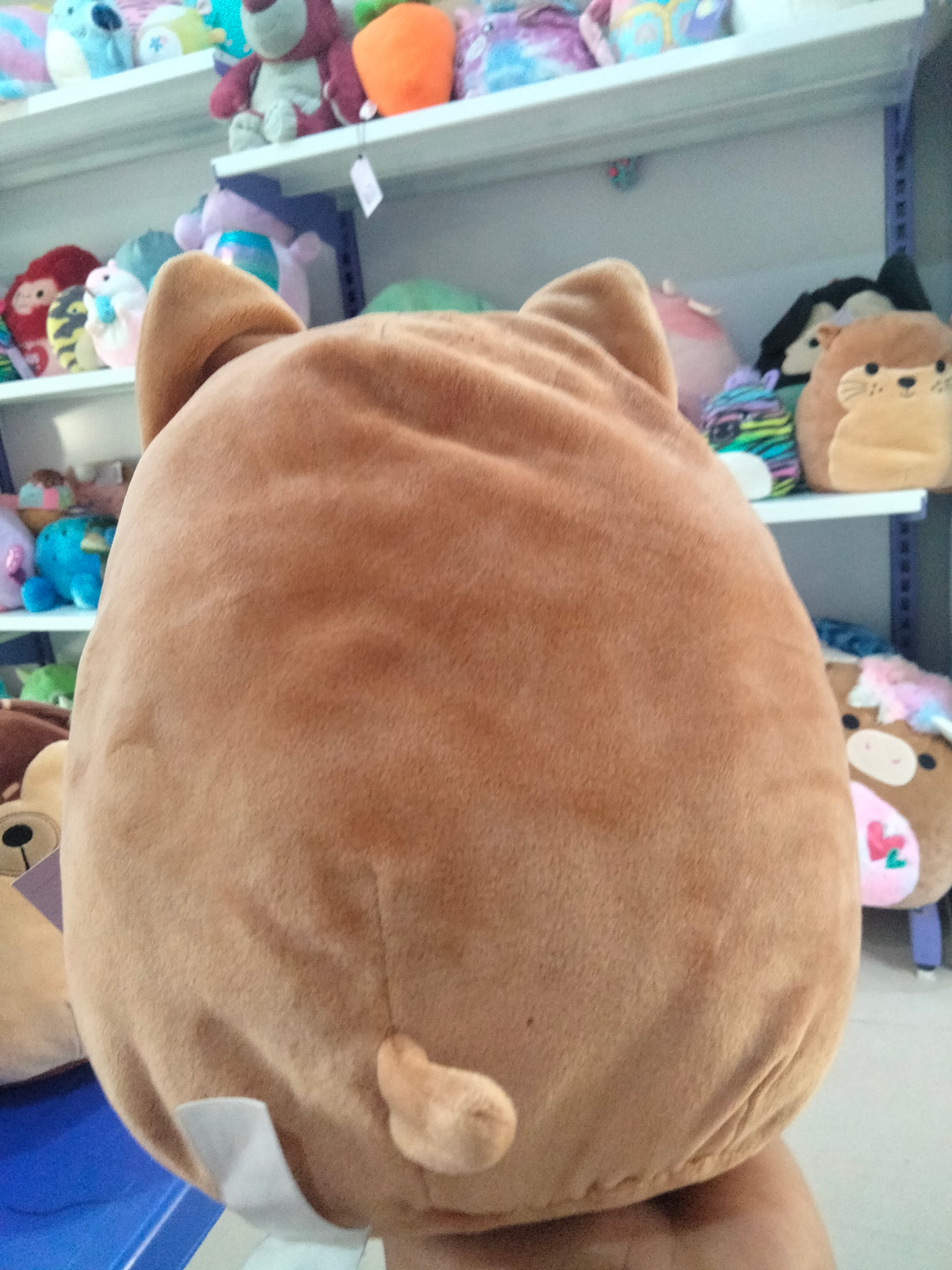 This is a Kellytoy Squishmallows Reginald the Corgi plush toy in a 12-inch size.