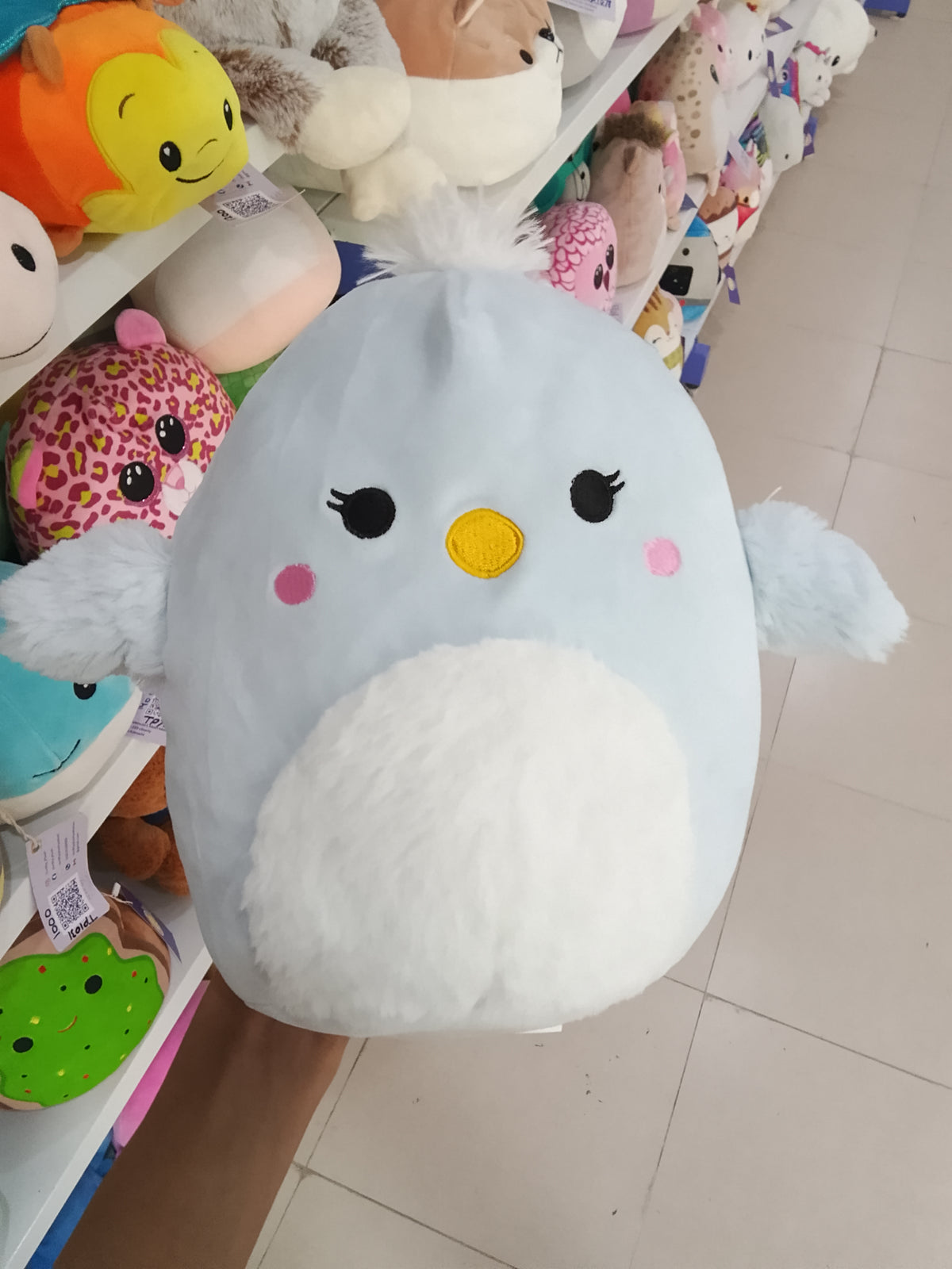 Squishmallows Camden the Blue Bird, notable for its sky blue color, fuzzy white belly, and white crest on top