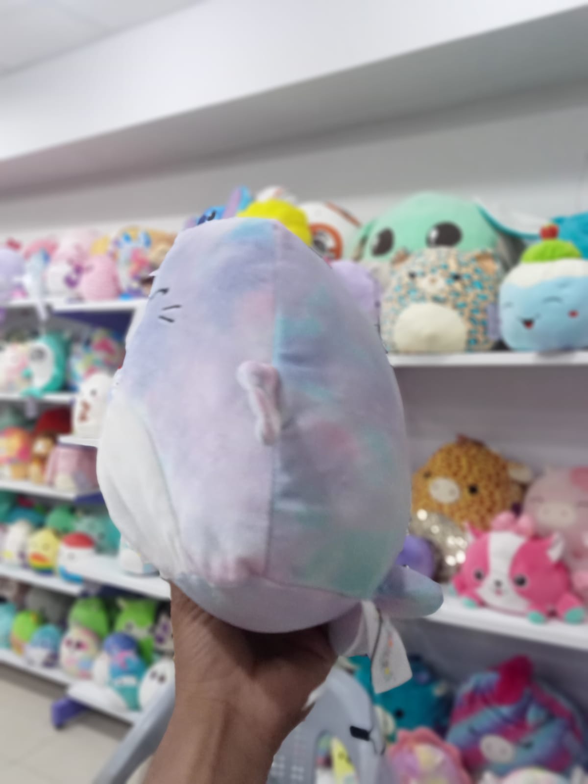 Tie Dyed Seal Squishmallow plush toy.