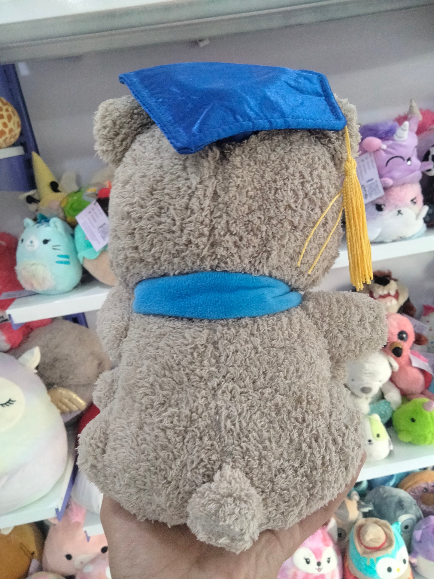 Celebrate Graduation 2022 Plush Brown Bear.