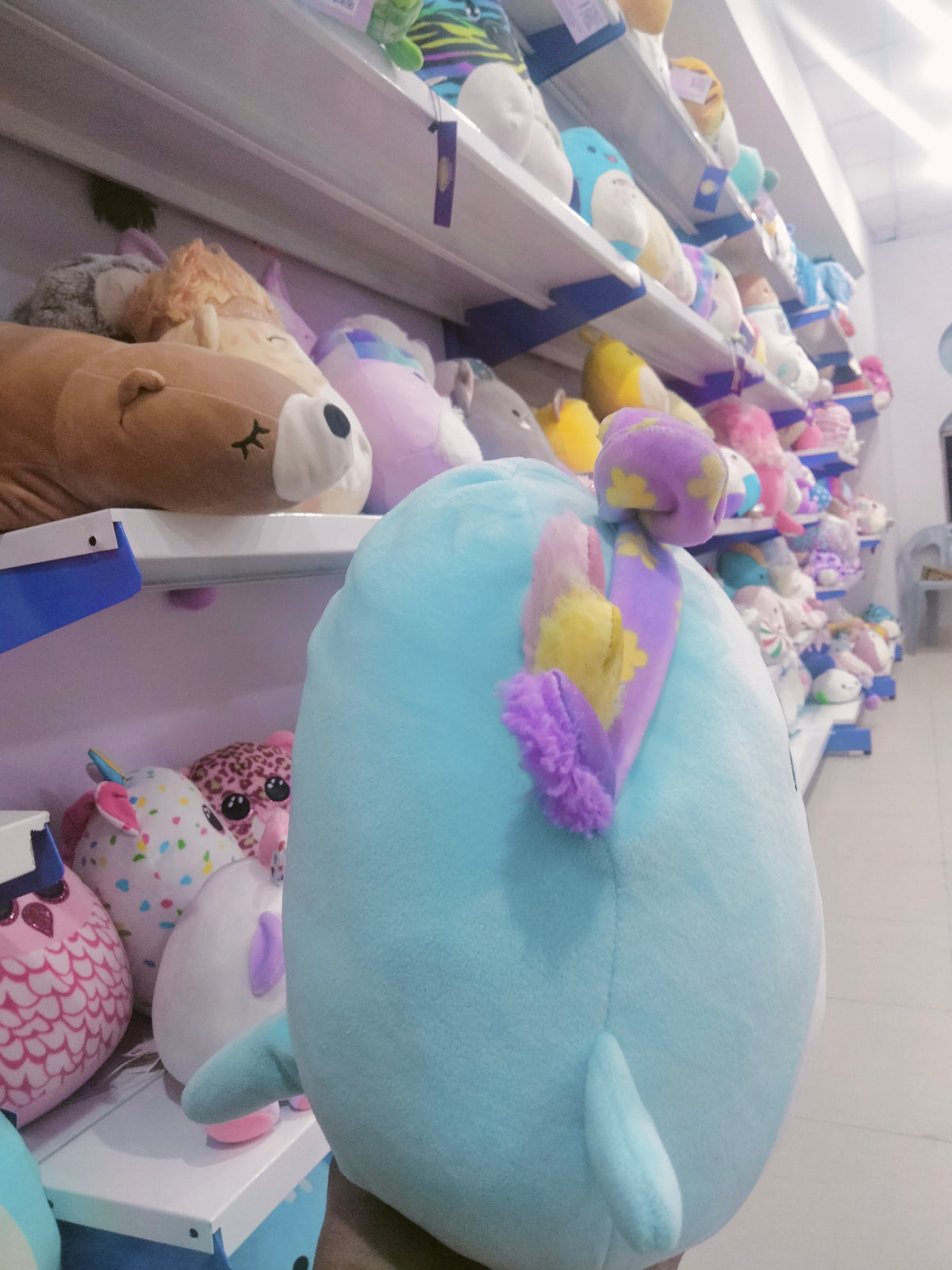 Squishmallows Irina the Teal Axolotl plush toy.