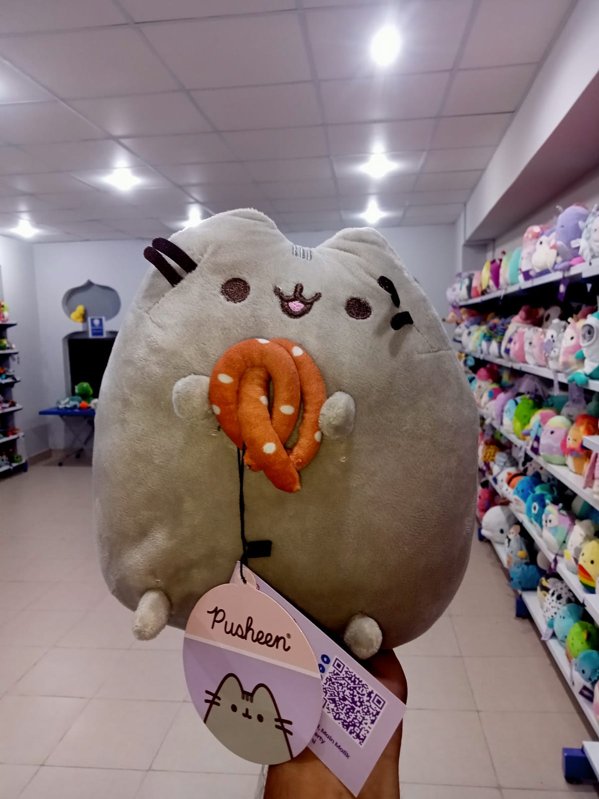 Pusheen the Cat with Pretzel stuffed animal.