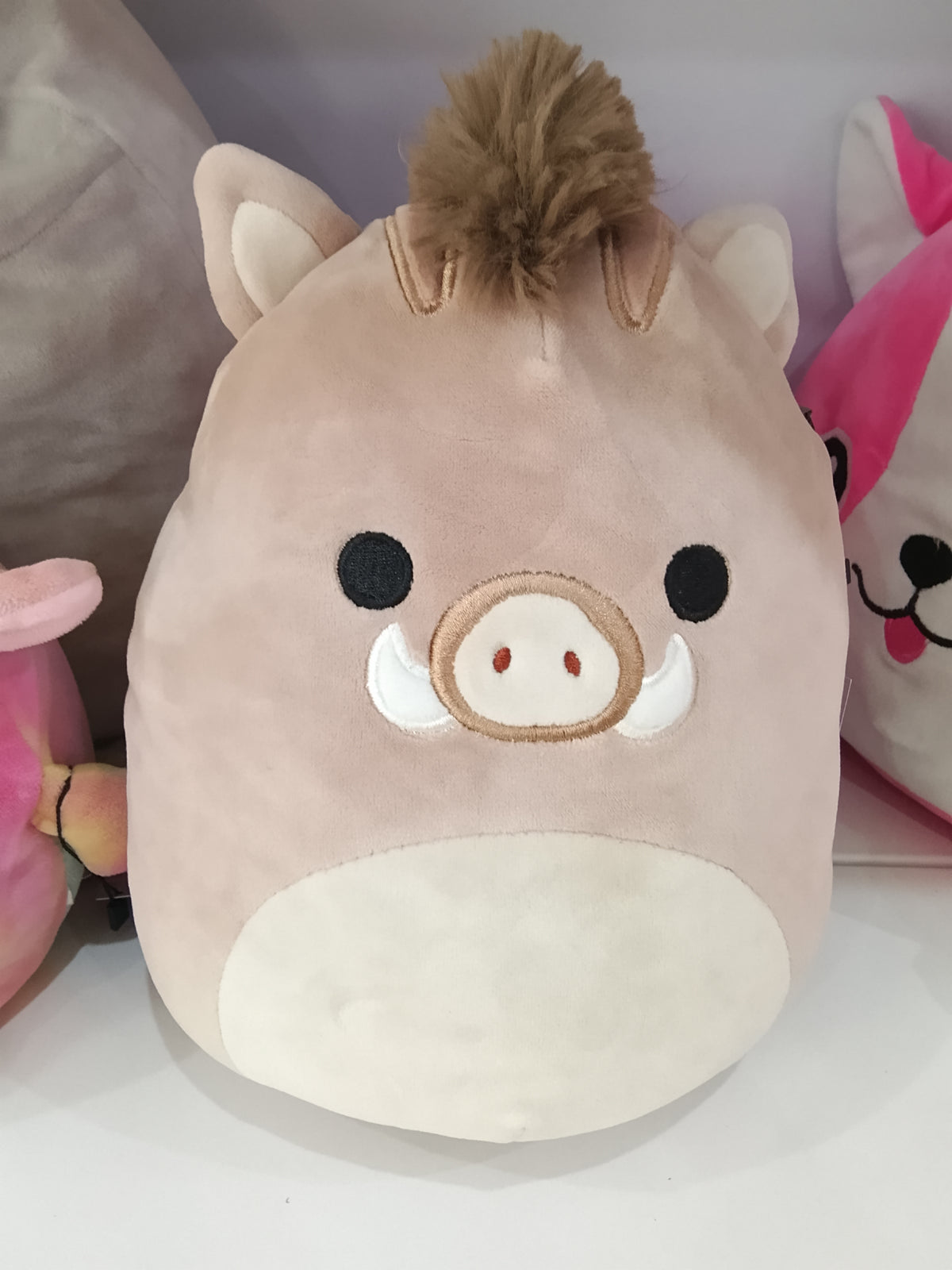 Squishmallows Warren the Boar plush in a light brown color with a beige belly and snout.