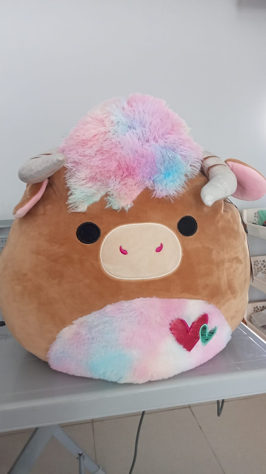 Candela the Highland Cow
